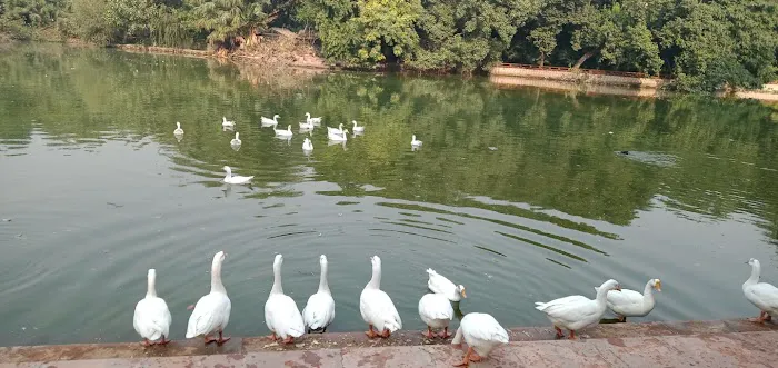 Karol Bagh Tricona Park - 7