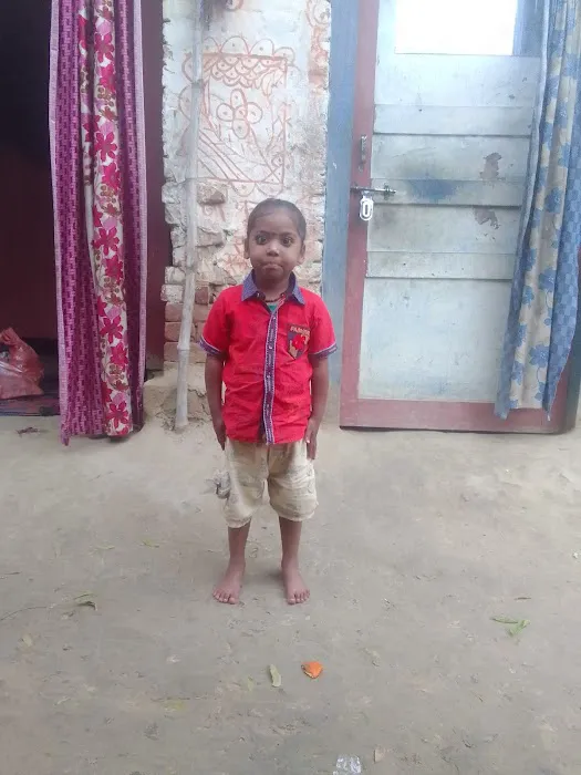 Rampal ka bagicha - 0
