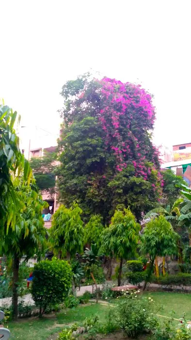 Block 4 Park - 4