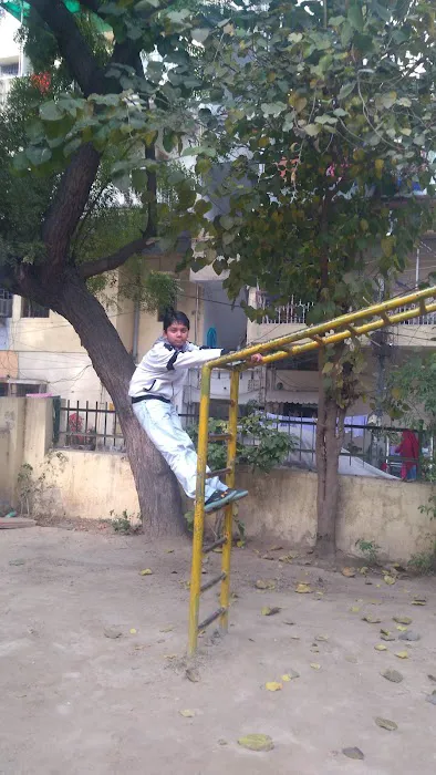 Chinu Park, Parsad Nagar - 8