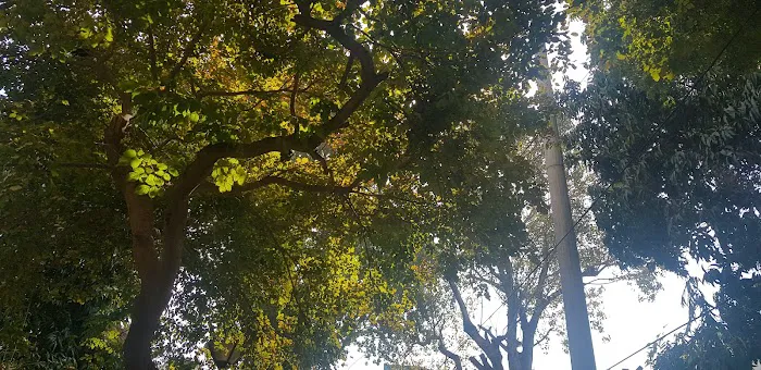 9a Park - 2