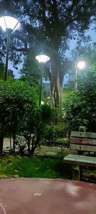 9a Park - 6