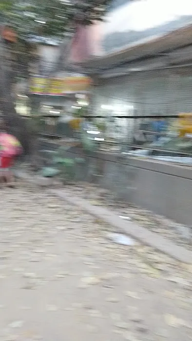 RAIGAR PURA CHILDREN PARK - 1