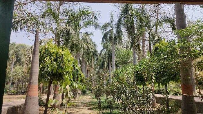 Shastri Park - 1