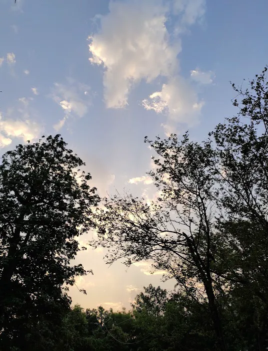 Shastri Park - 7