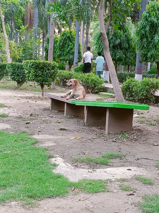Shastri Park - 9