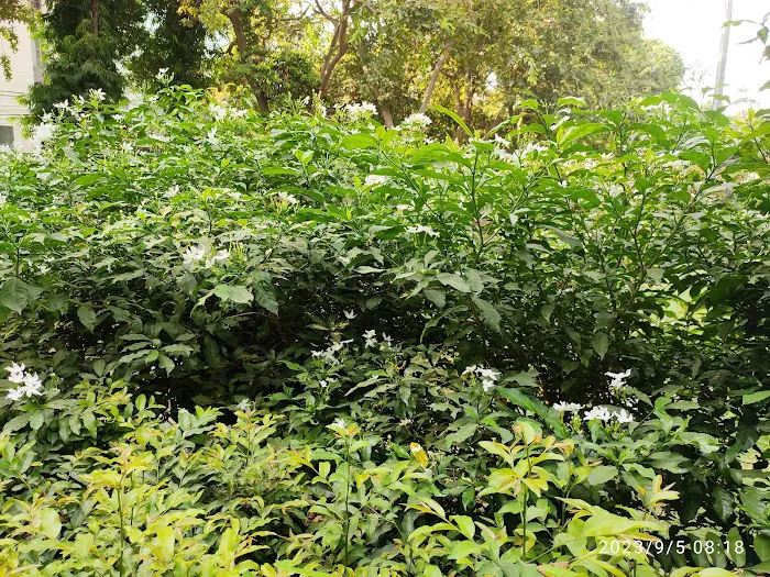 Guru Nanak Dev park ️ - 1