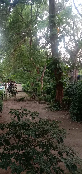 Guru Nanak Dev park ️ - 2