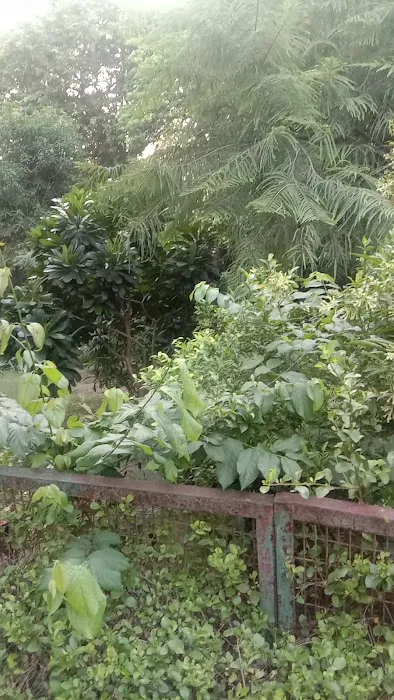 Guru Nanak Dev park ️ - 3