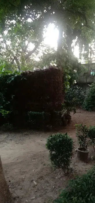 Guru Nanak Dev park ️ - 8