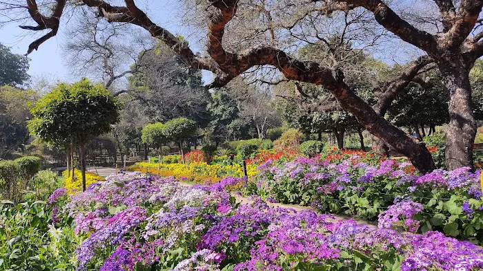 Sukiti Buddha Garden - 0