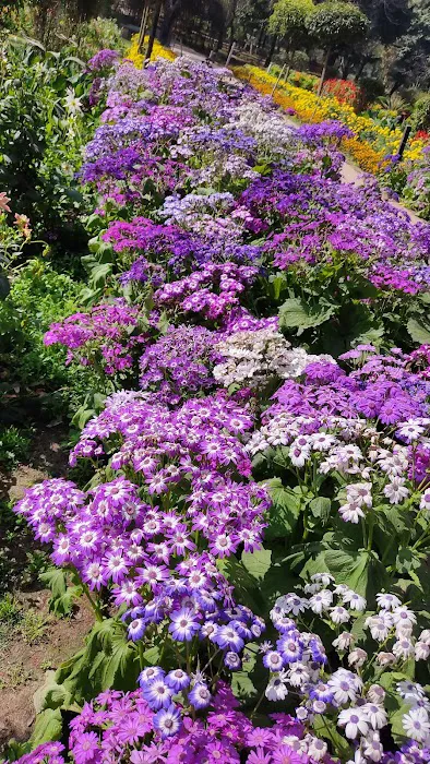 Sukiti Buddha Garden - 7