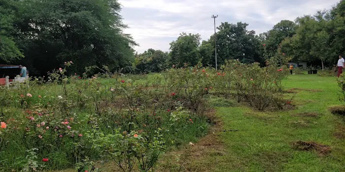 Bodhisattva Rose Garden - 1