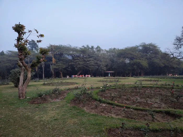 Bodhisattva Rose Garden - 0