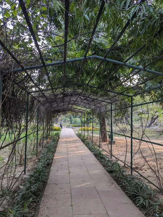 Bodhisattva Rose Garden - 2