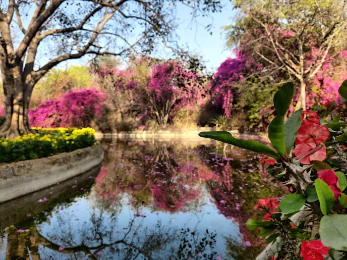 Bougainvillea Garden - 3