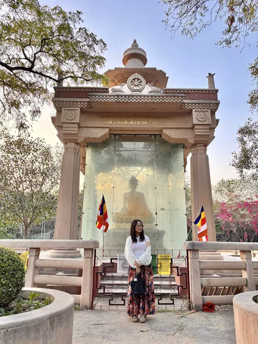 Pusa Hill Forest - 1