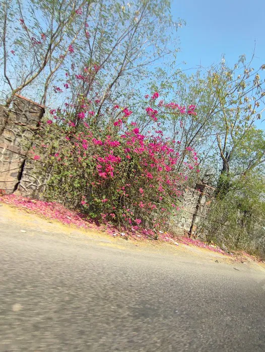 Pusa Hill Forest - 7