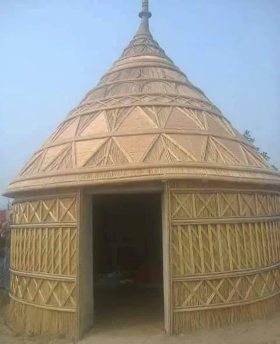 Pusa Hill Forest - 4