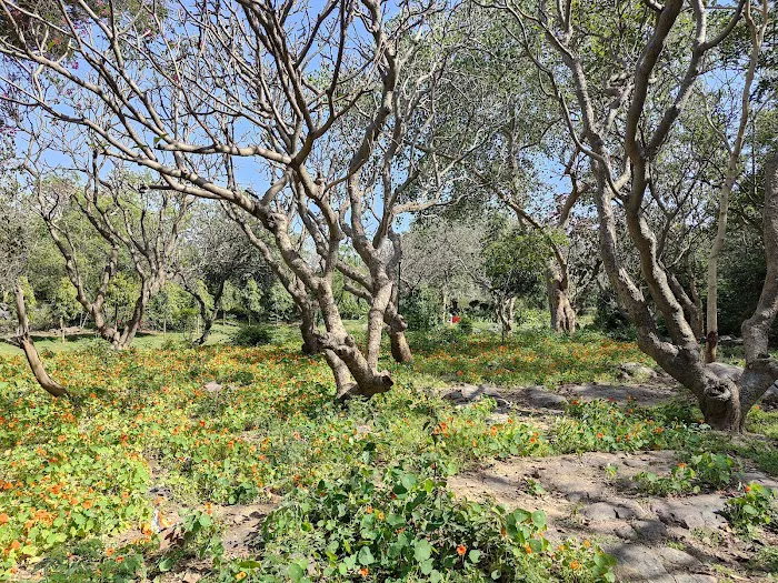 Pusa Hill Forest - 9