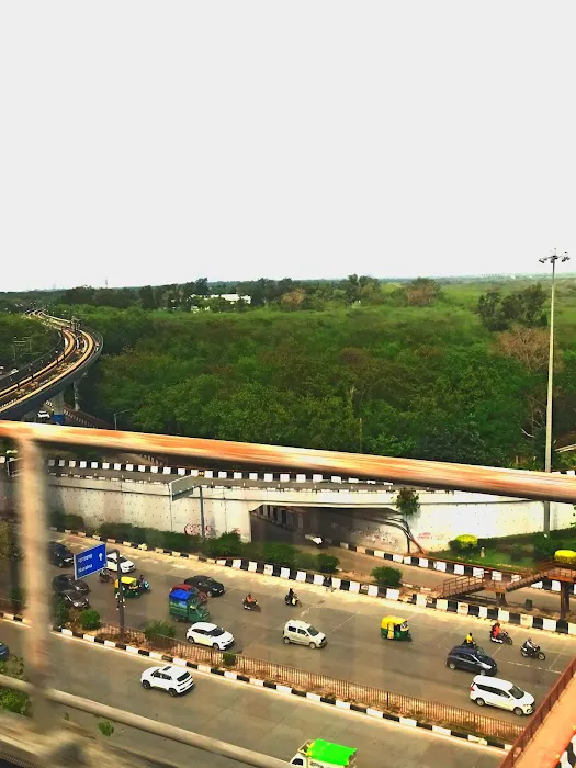 Pusa Hill Forest - 3