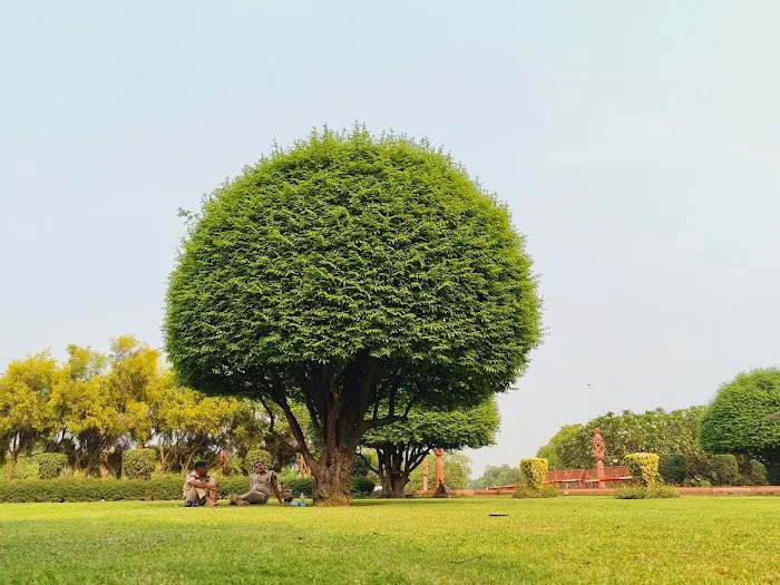 Vijay Chowk Park - 4