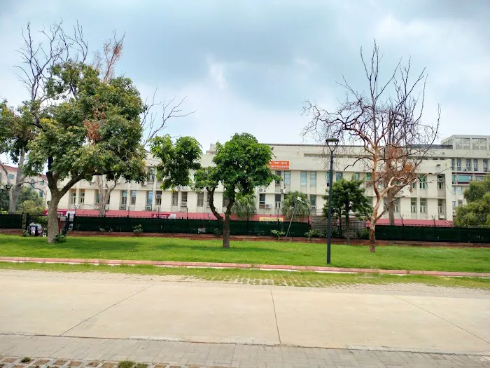 Kartavya Path Lawn - 3