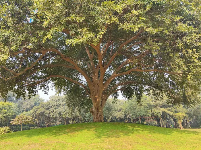 Bharat - ASEAN Maitri Park - 1