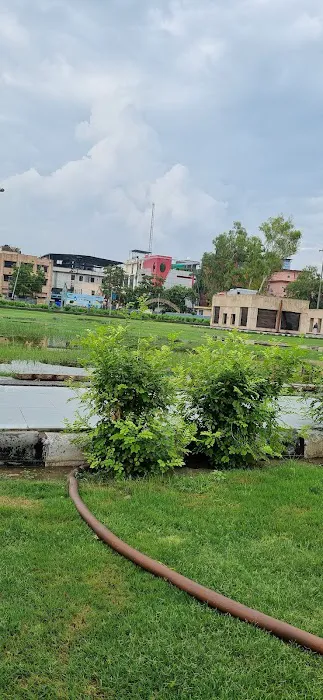 Park Sector 3 Noida - 2