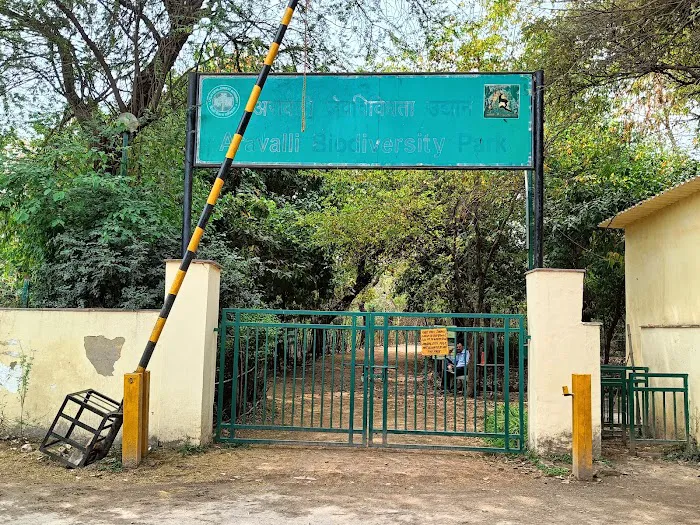 Aravalli Biodiversity Park - 2