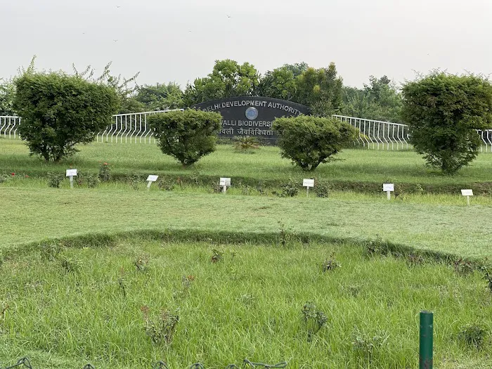 Aravalli Biodiversity Park - 3