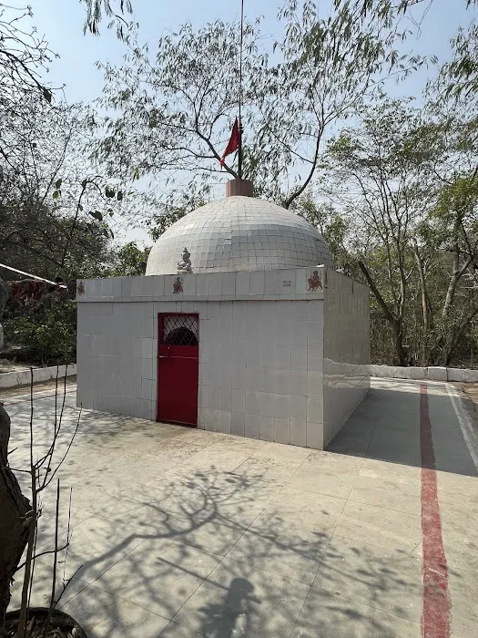 Aravalli Biodiversity Park - 9