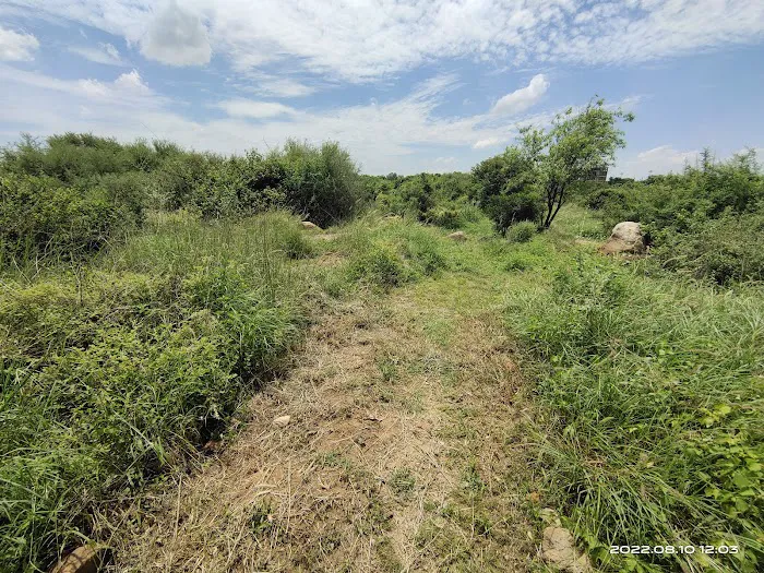 Aravalli Biodiversity Park - 7