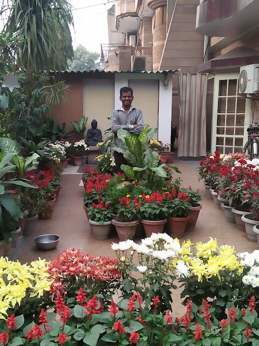 C Block Bhurji Park - 1