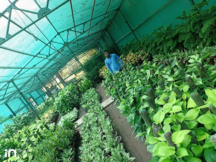 Cpwd race course nursery .lok kalyan Marge ,New Delhi - 5