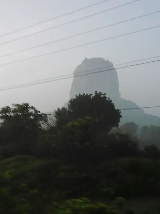 Mother Dairy Park - 2