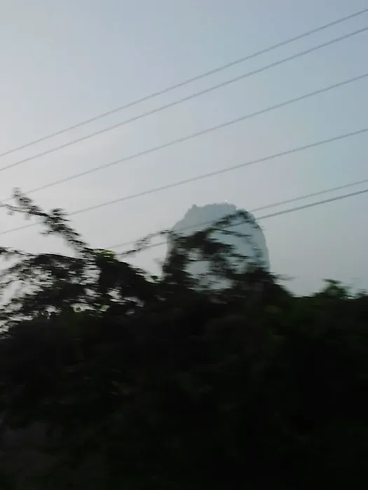 Mother Dairy Park - 5