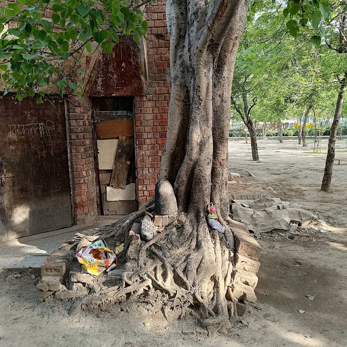 Park Sector 6/7 Noida - 2