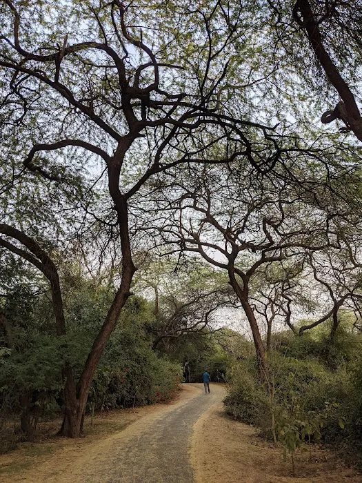 Jahanpanah City Forest - 1