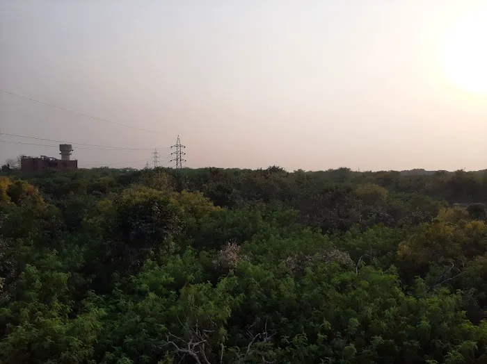 Jahanpanah City Forest - 4