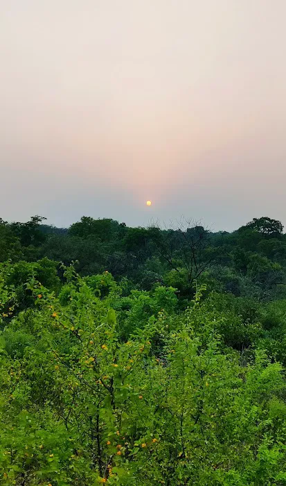 Jahanpanah City Forest - 7