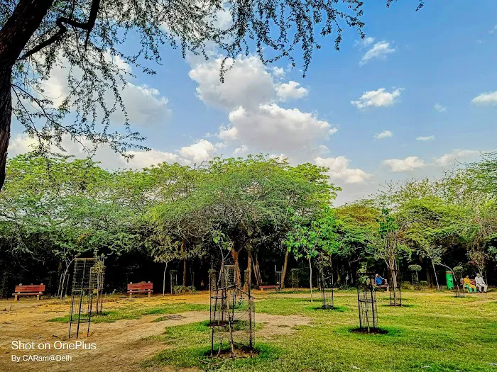 Jahanpanah City Forest - 8