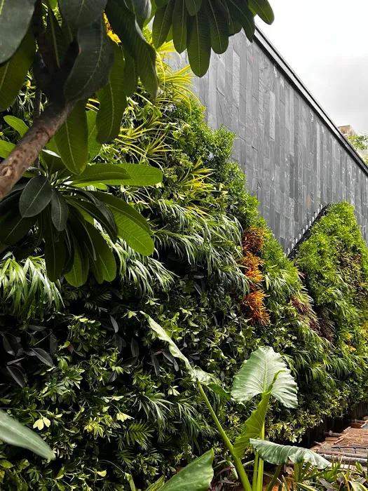 Forest and Rain - 2