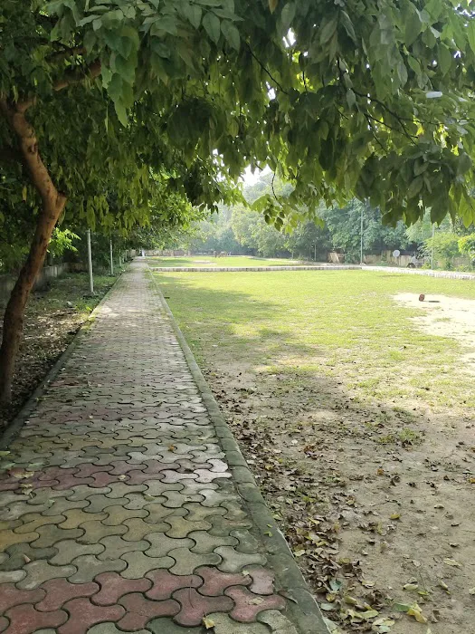 DMS PARK - Sector 7 Pushp Vihar - 1