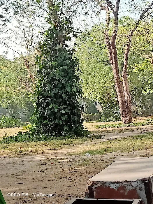 Thakur Vatika - 3
