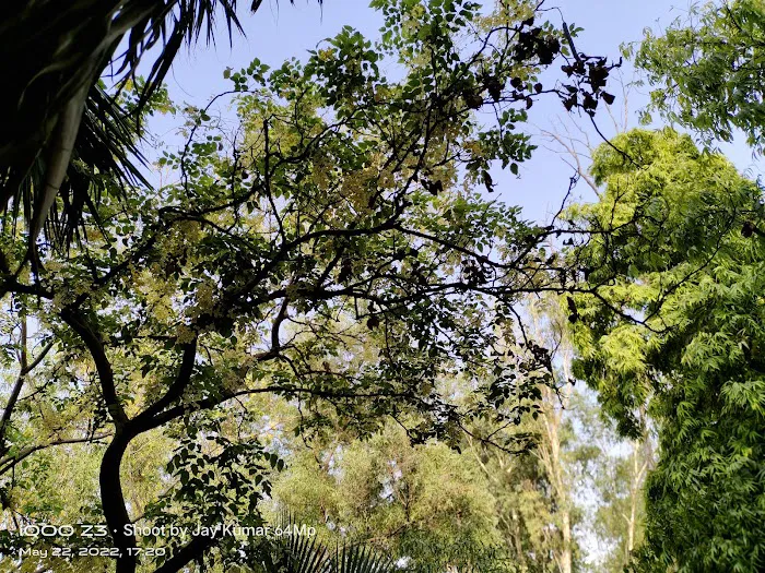 Sanjay Lake Park - 7