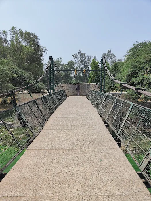 Sanjay Lake Park - 4