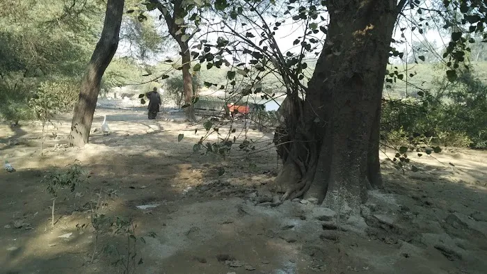 Sanjay Lake ENTERANCE Shasi Garden - 1