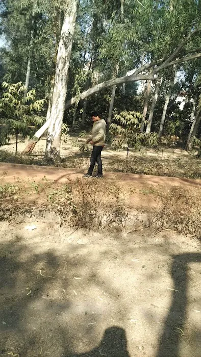Sanjay Lake ENTERANCE Shasi Garden - 2