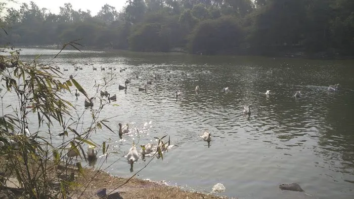 Sanjay Lake ENTERANCE Shasi Garden - 6